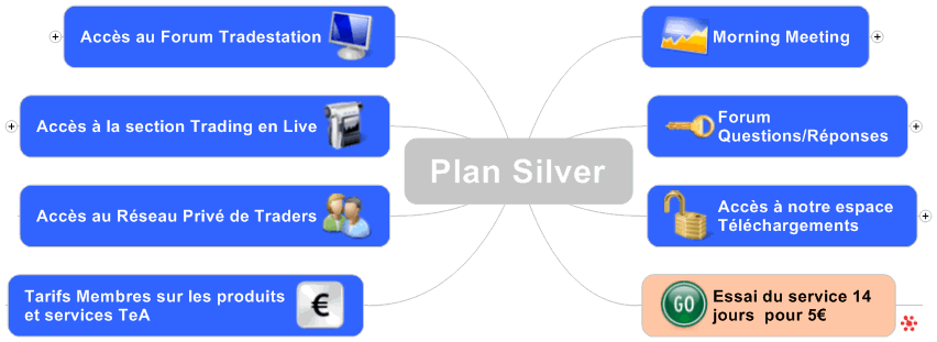 PLansilverfull